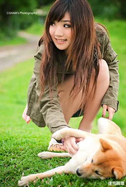 17530207.webp