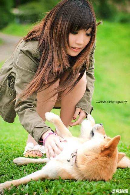 17530206.webp