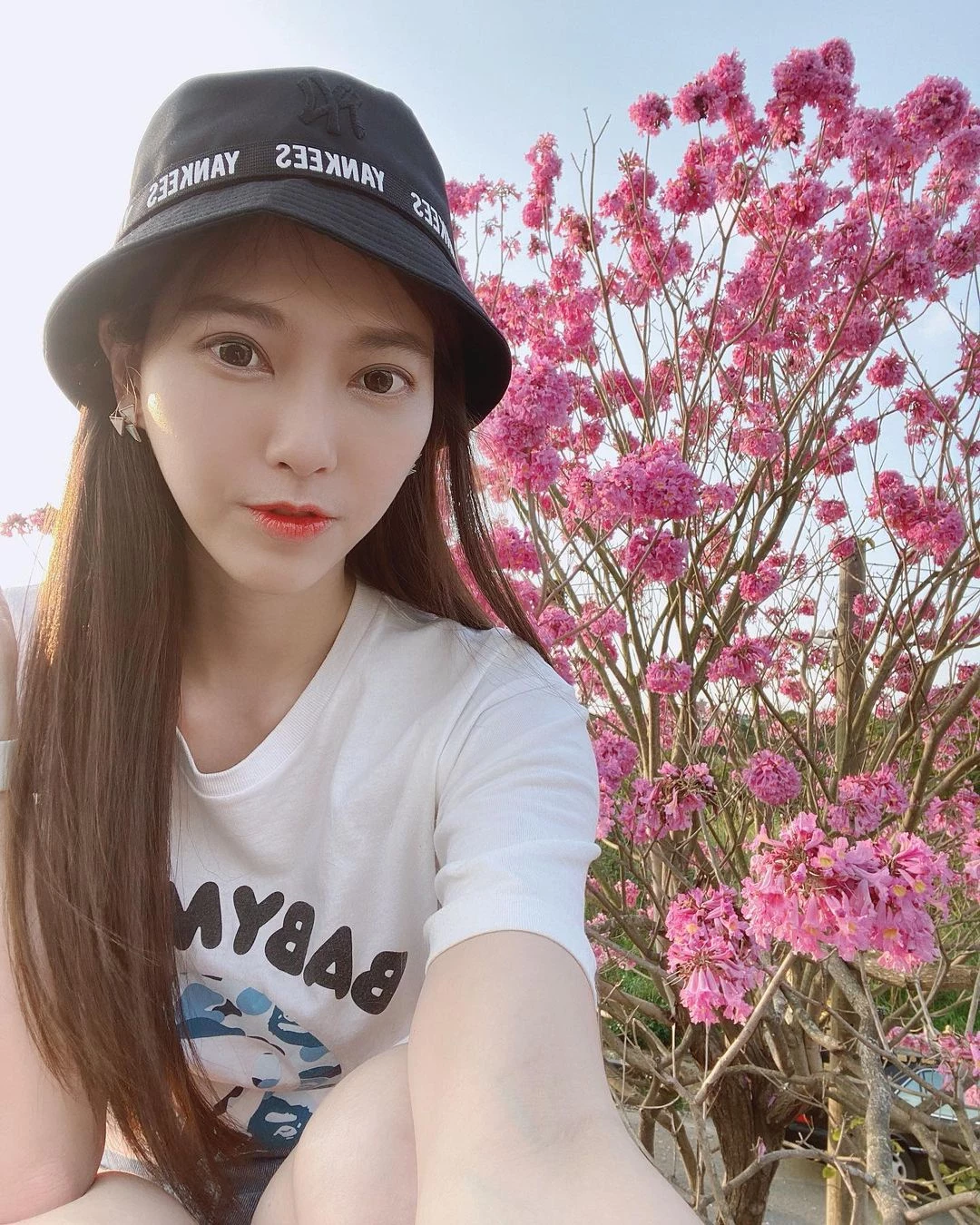 18196356.webp