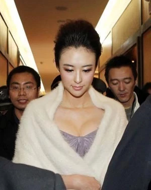 17851520.webp