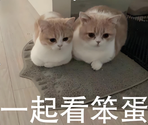 QQ_1750727780906.png