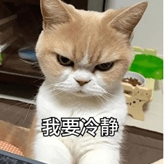 微信截图_20250624061718.png
