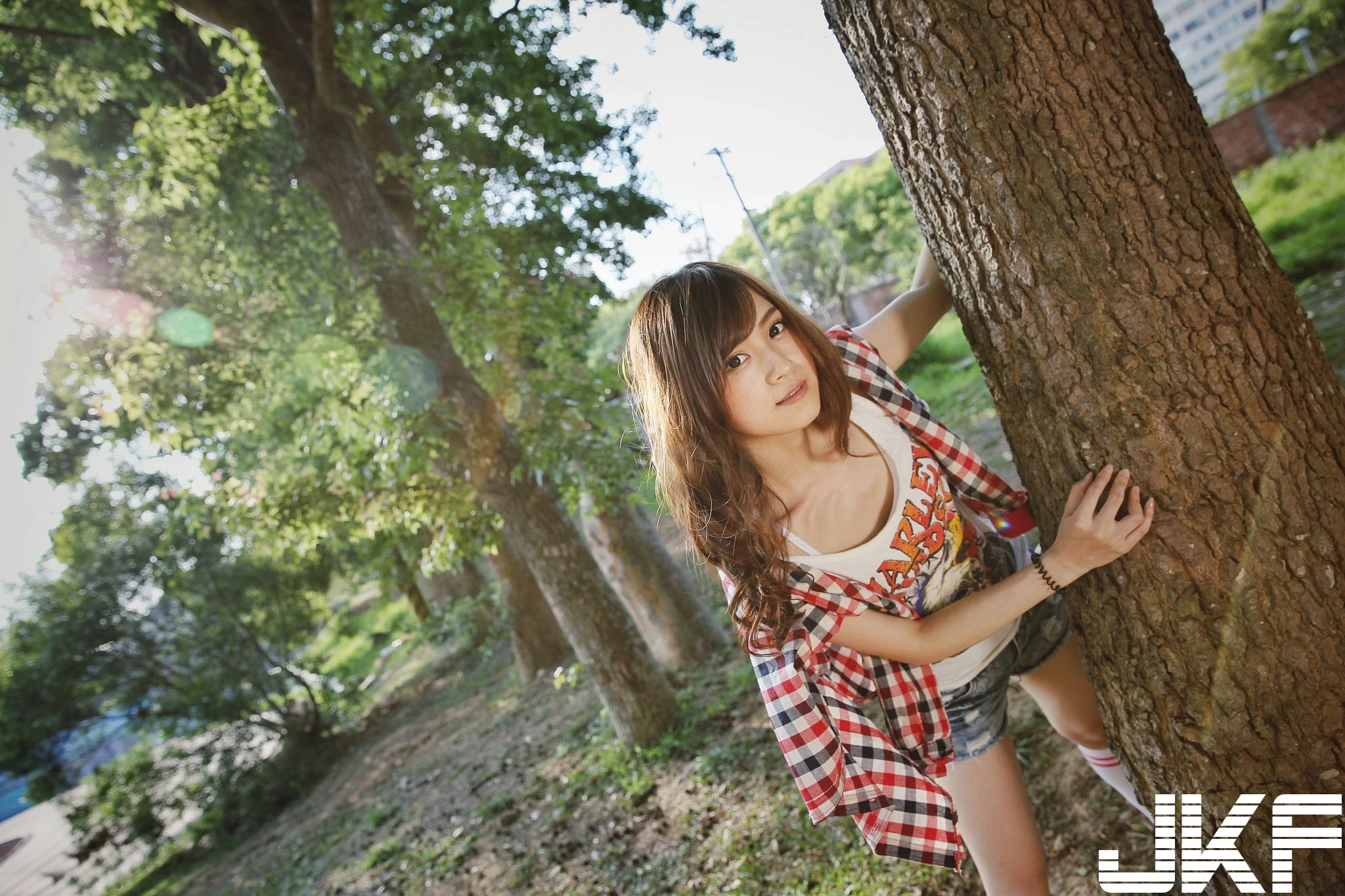 16843697.webp