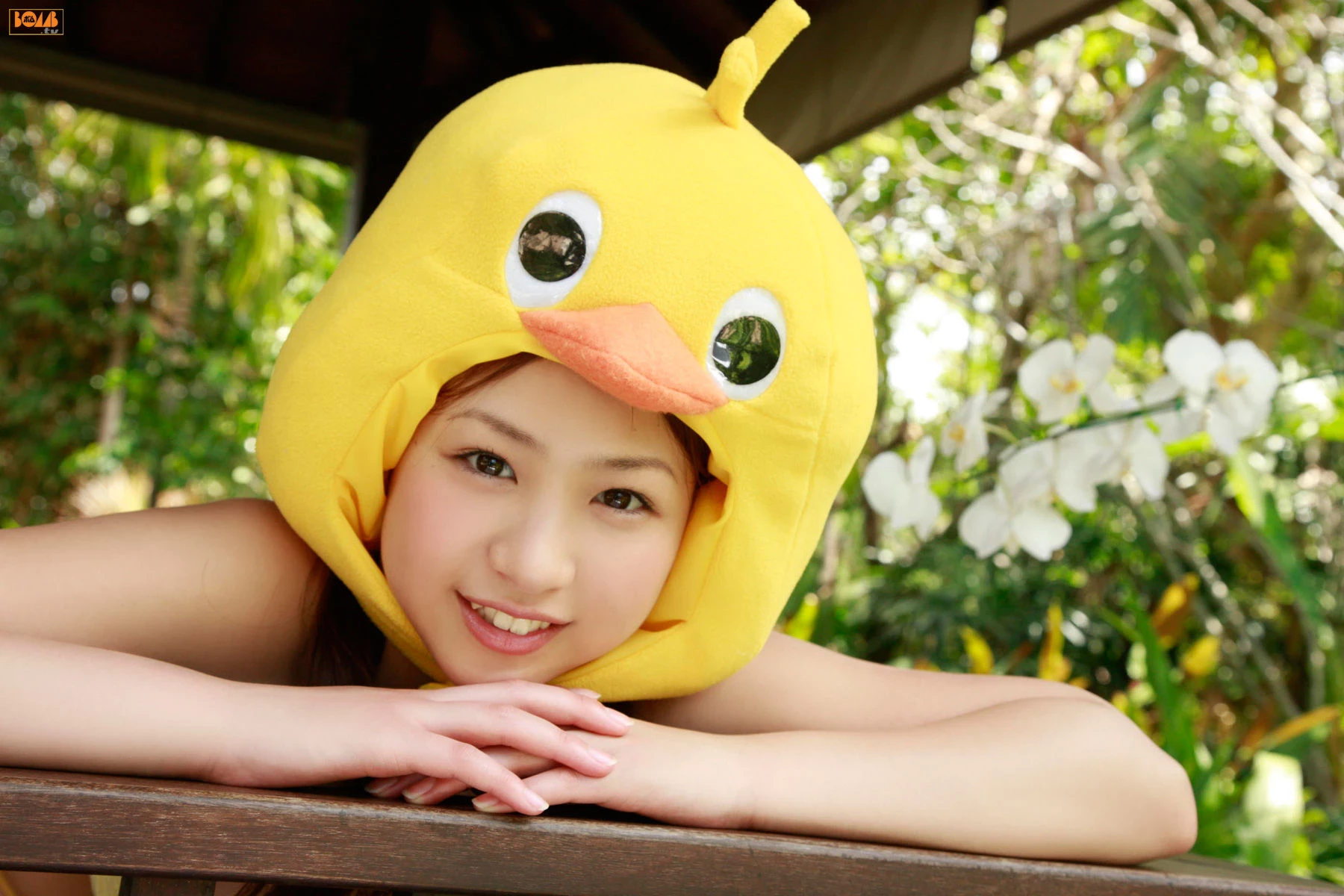 30630980.webp