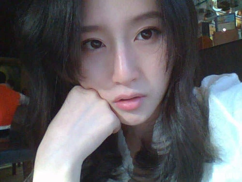17330375.webp