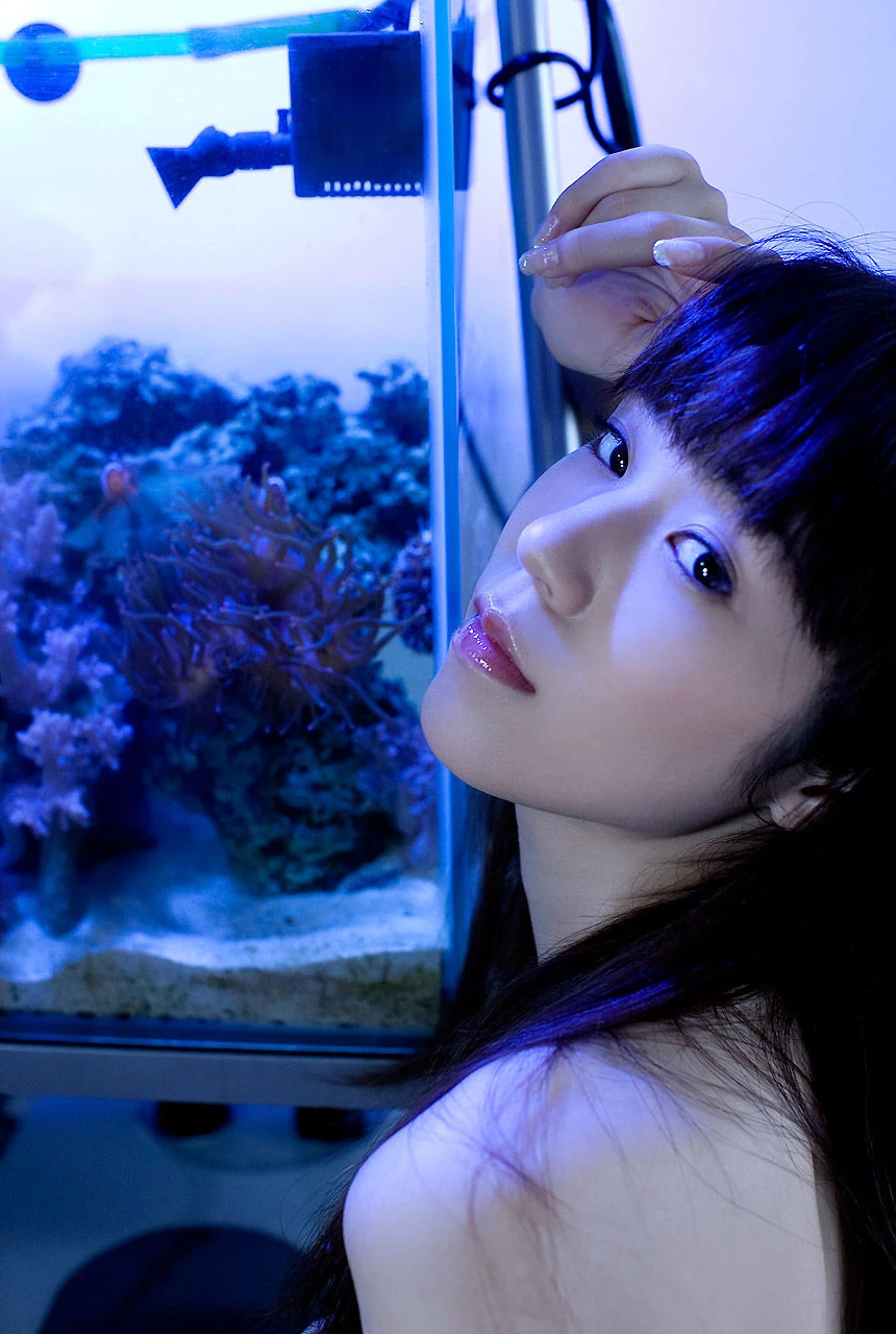 30581650.webp