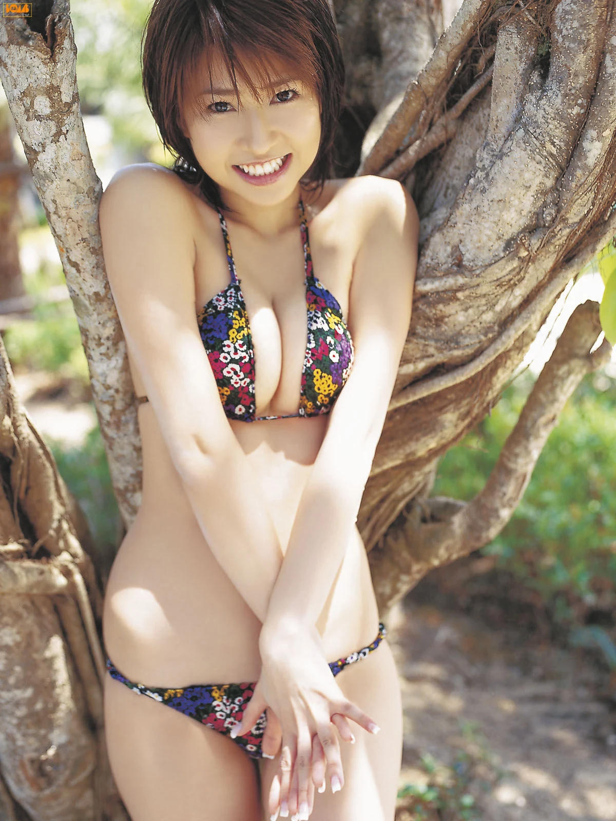 30638087.webp