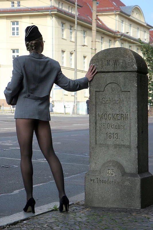 17931932.webp