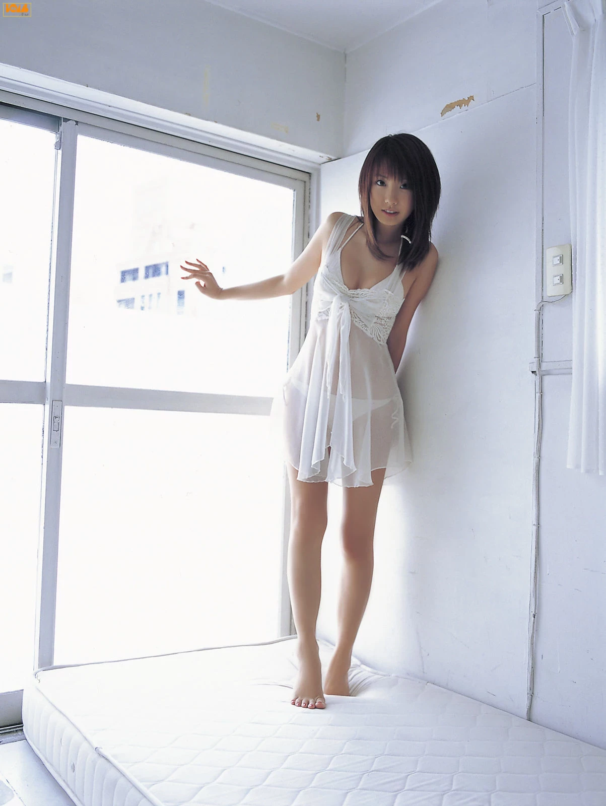 30603035.webp