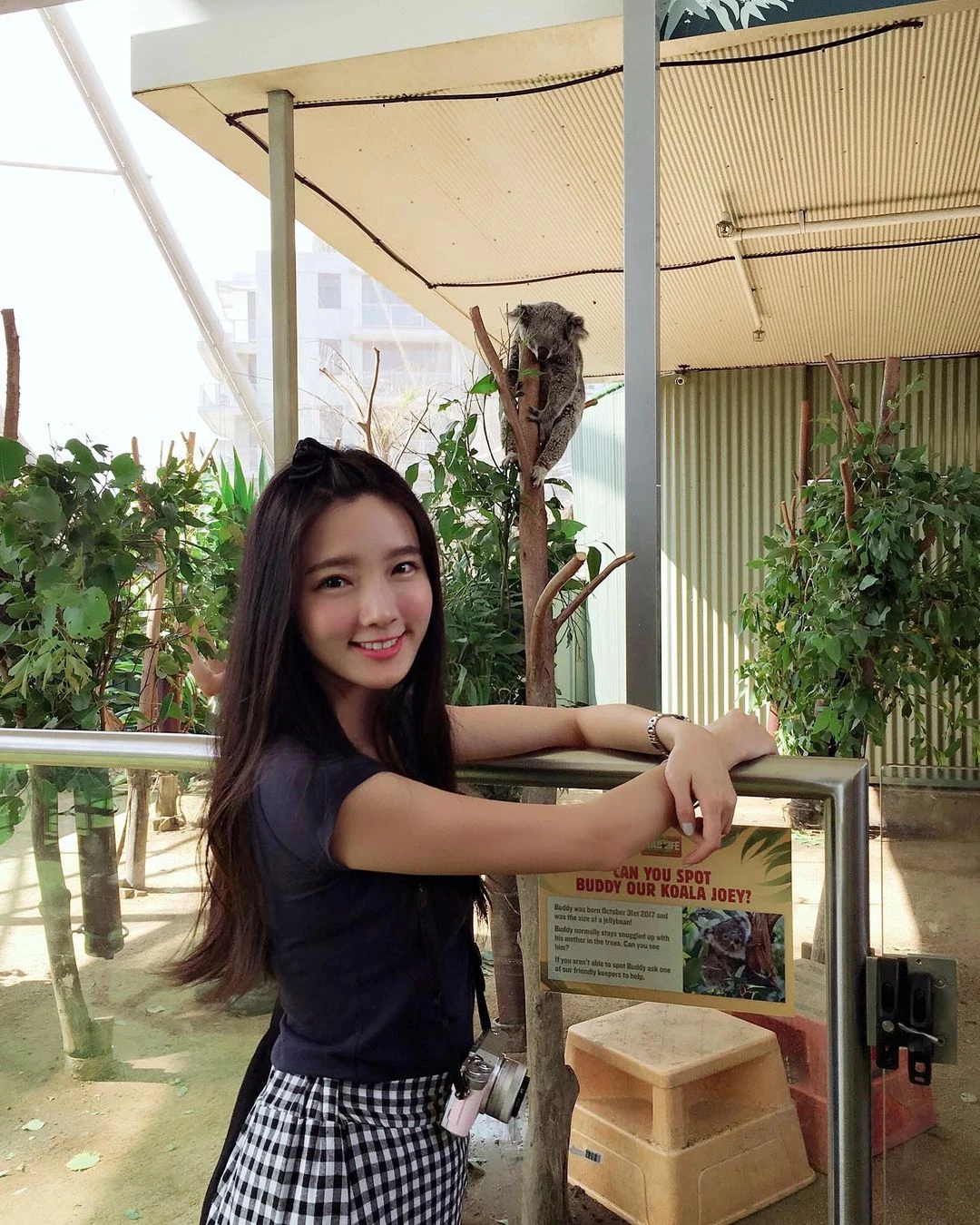 18404368.webp