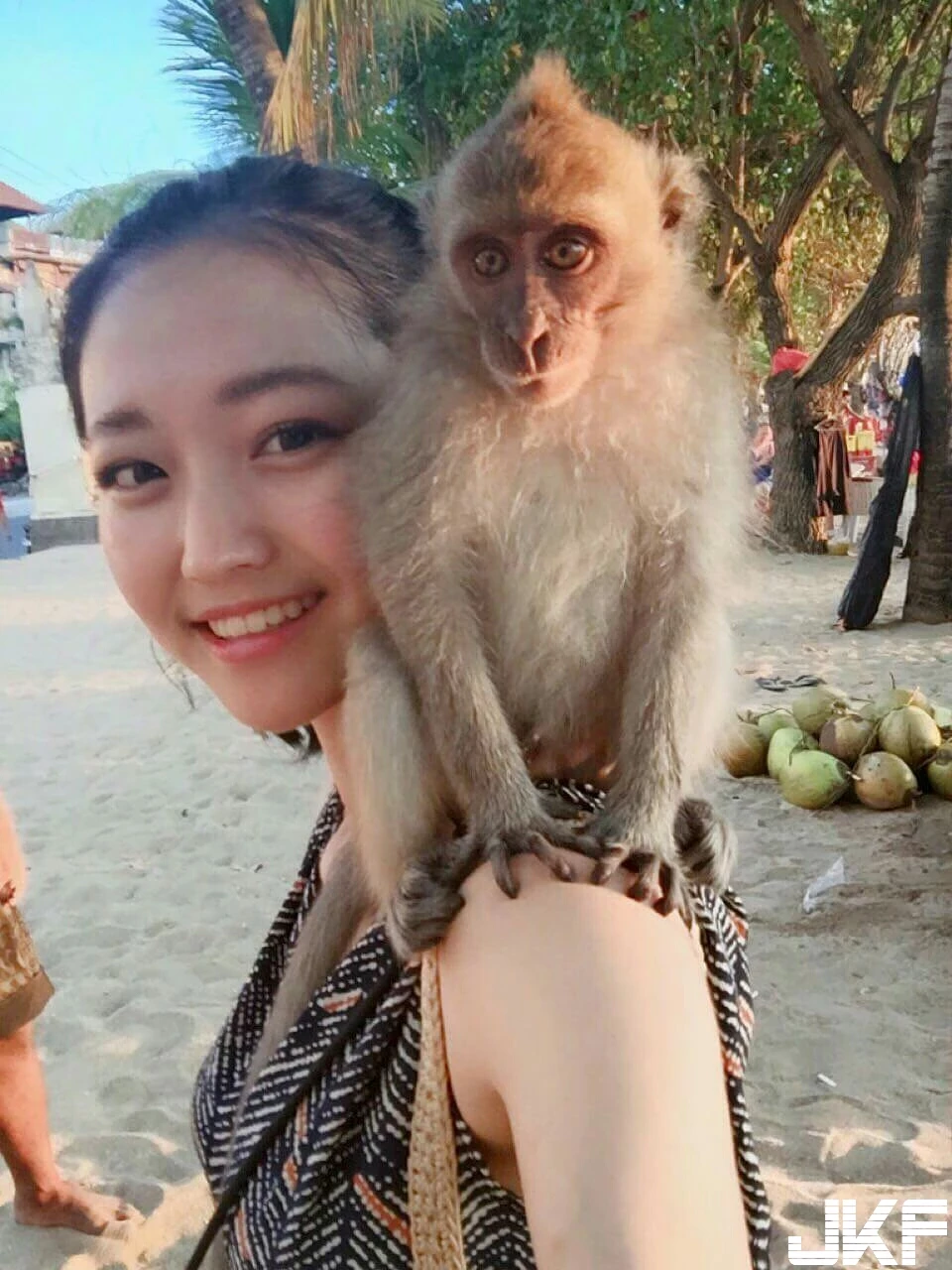 16809489.webp