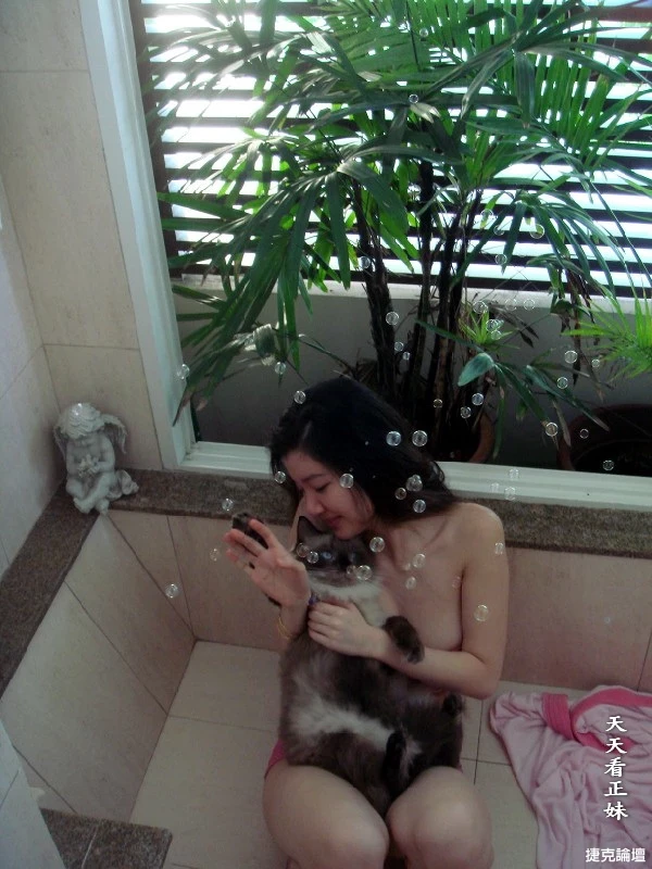 17691415.webp