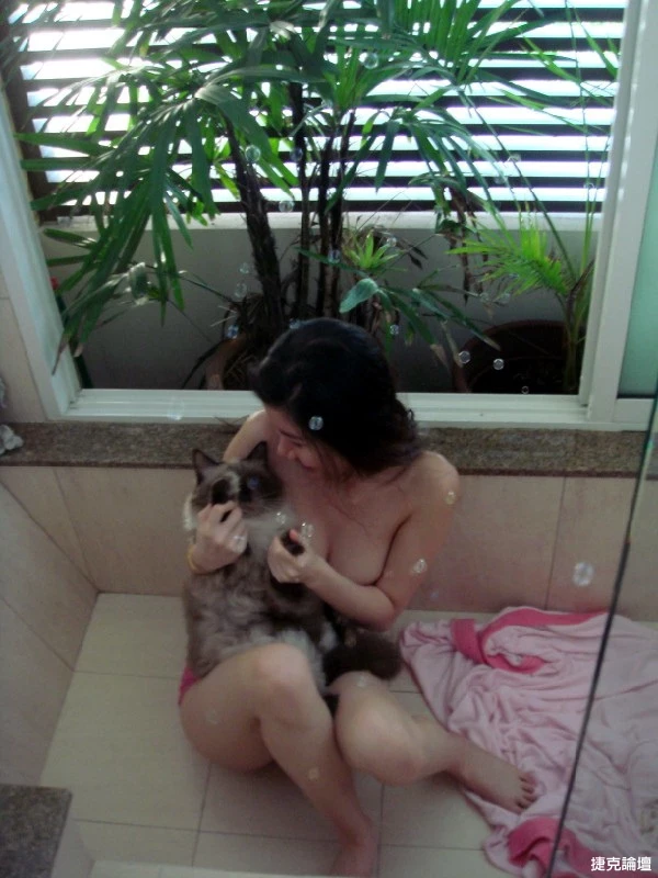 17691426.webp