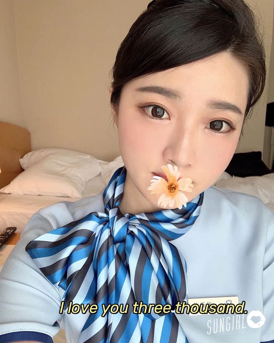 3952067.webp