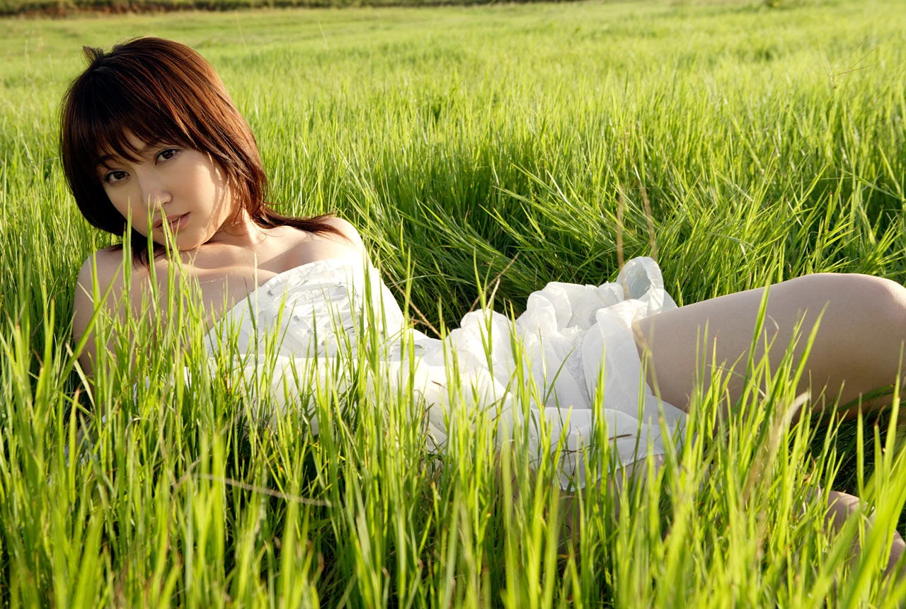30631633.webp