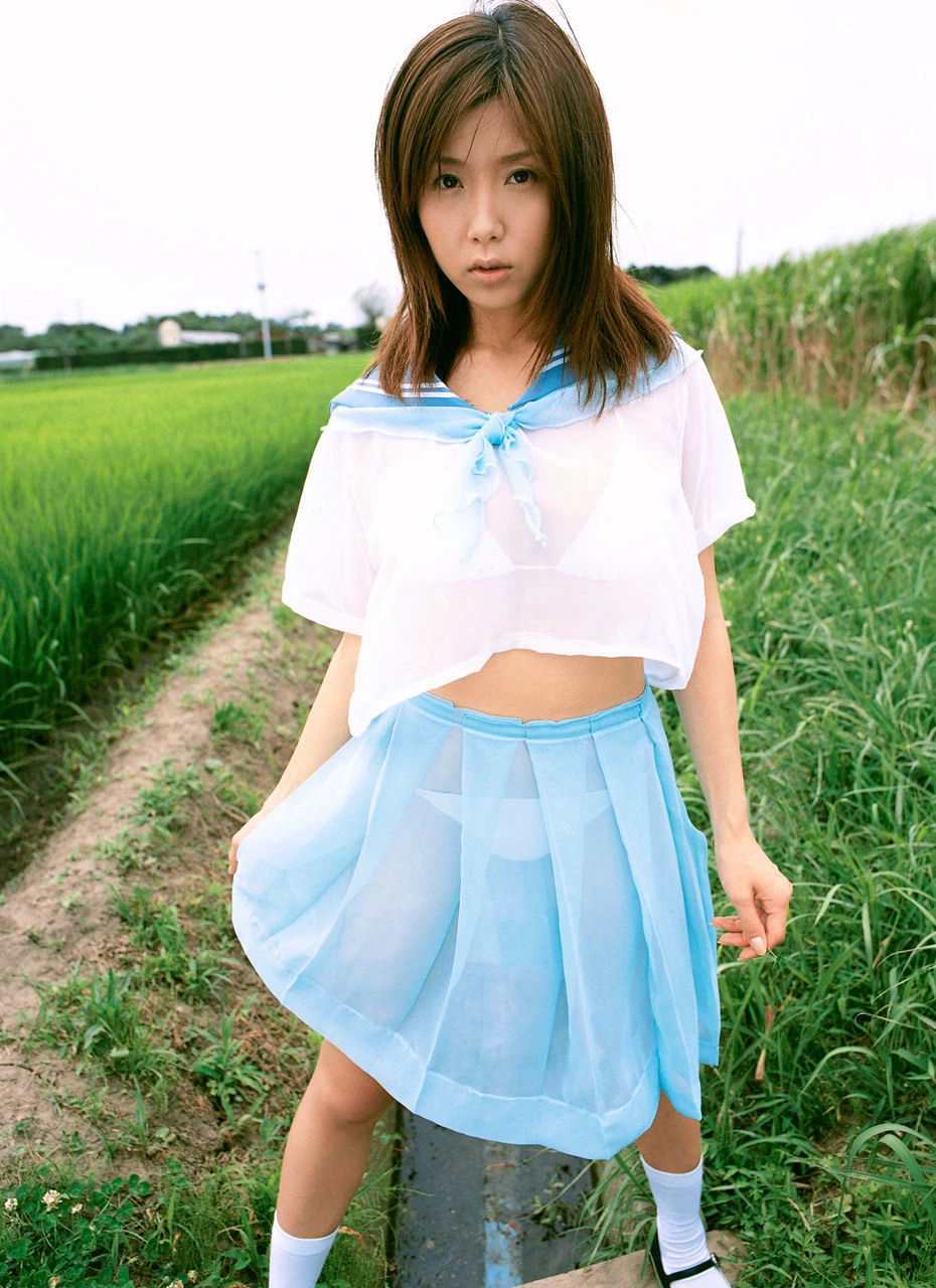 30631764.webp