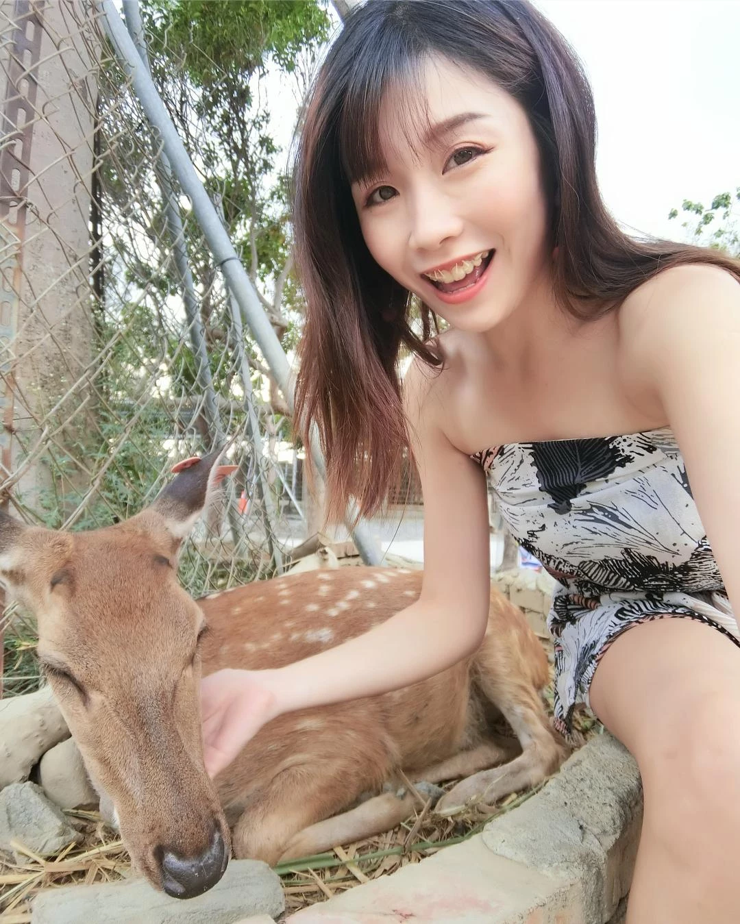 4275699.webp