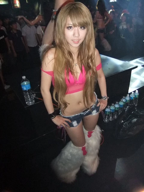 17731209.webp