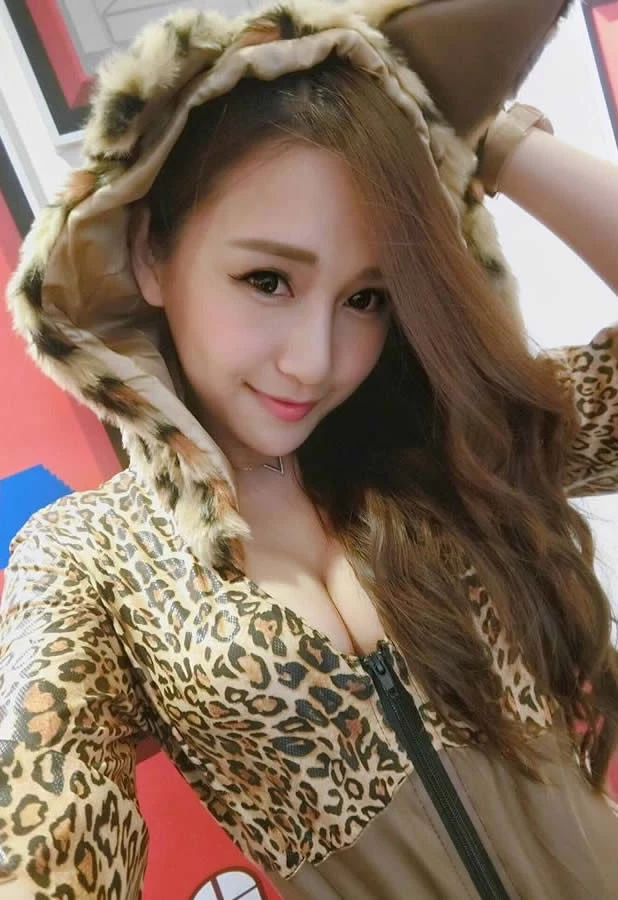 16778883.webp