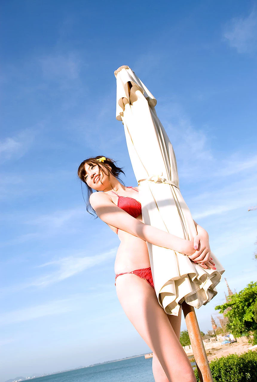 30611745.webp