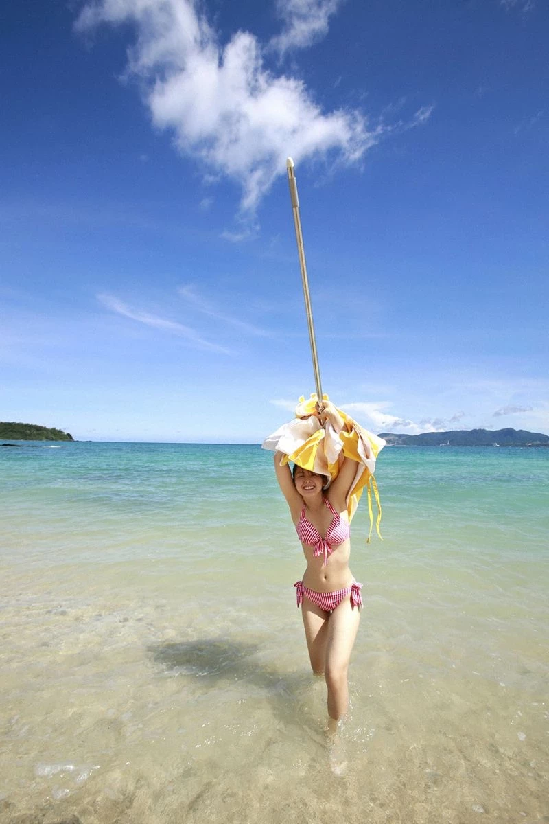 30619120.webp