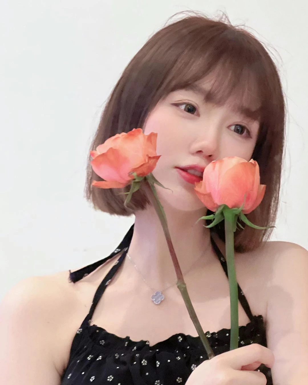 28118193.webp