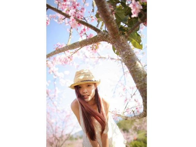 17560098.webp