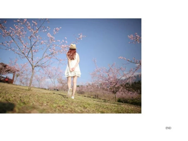 17560104.webp