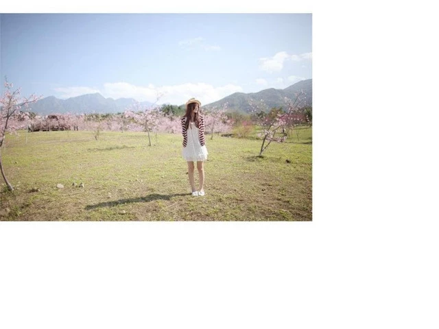 17560118.webp
