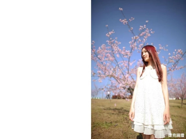 17560117.webp