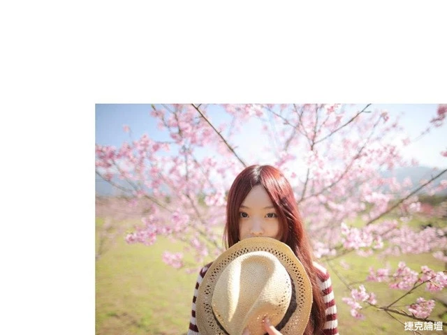 17560121.webp