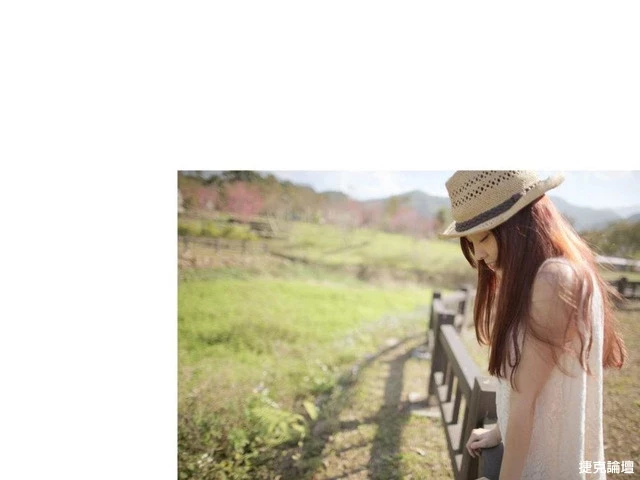 17560119.webp