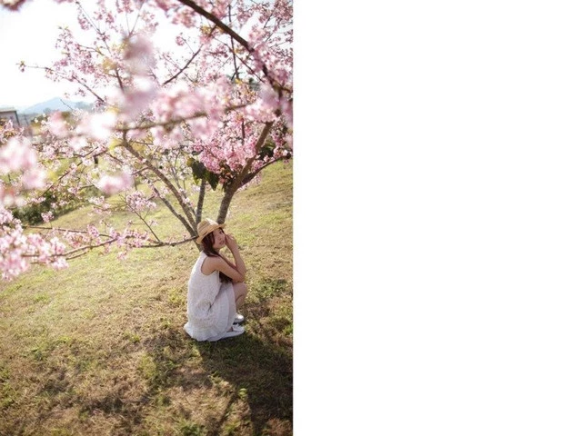 17560124.webp
