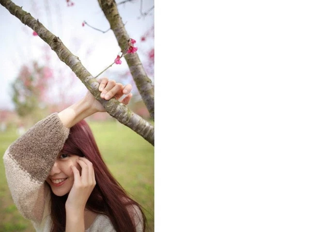 17560130.webp