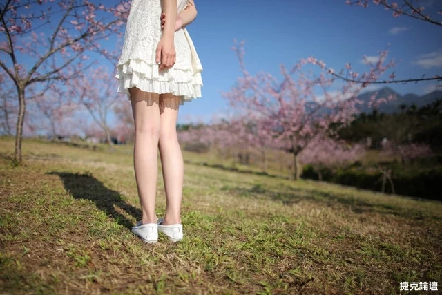 17560133.webp