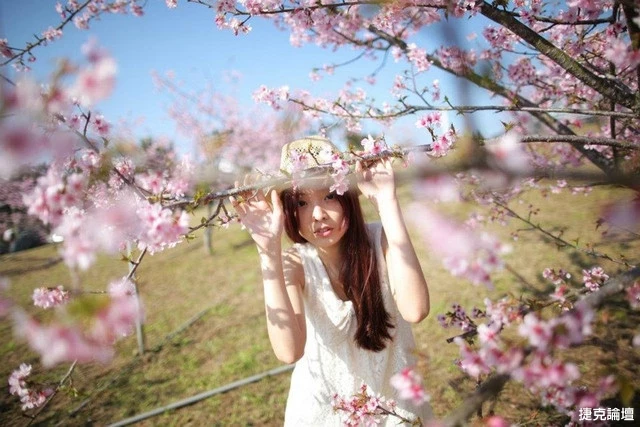 17560131.webp