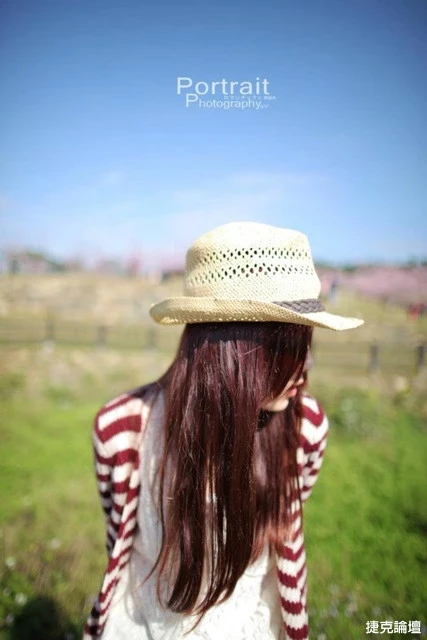 17560137.webp