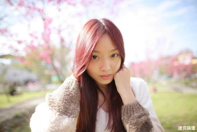 17560141.webp