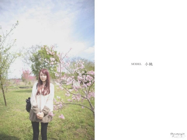 17560140.webp