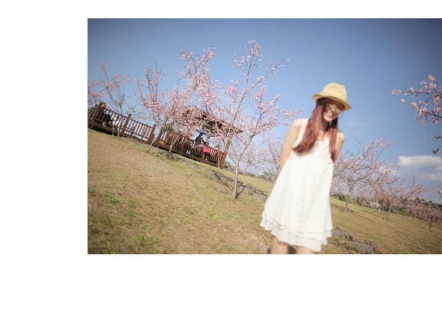 17560145.webp