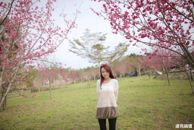 17560149.webp