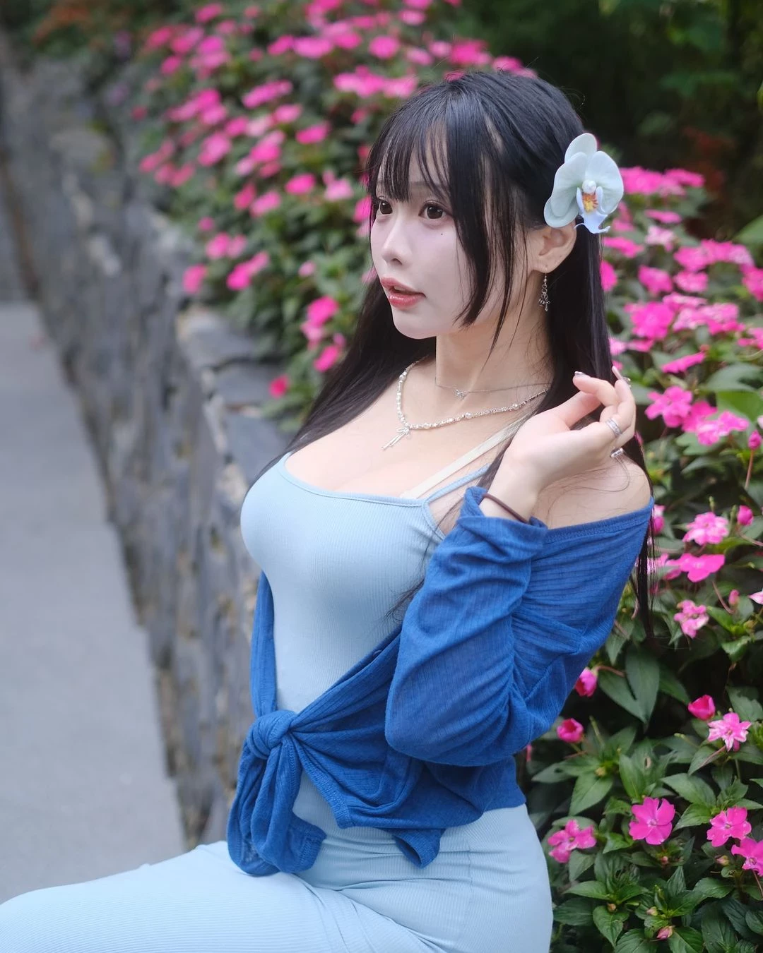 31091535.webp