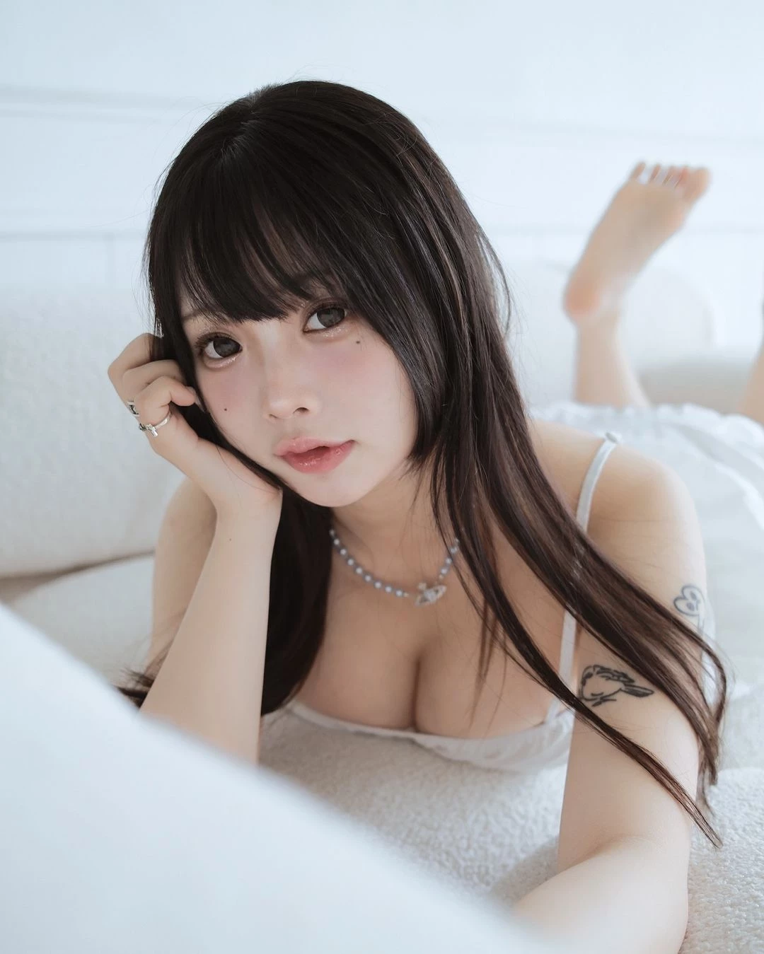 31091536.webp