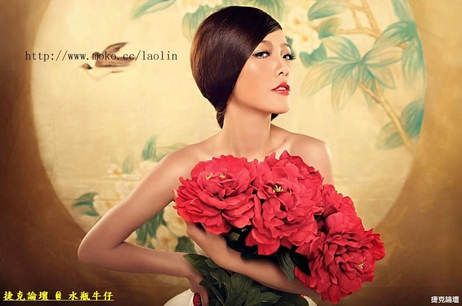 17542243.webp