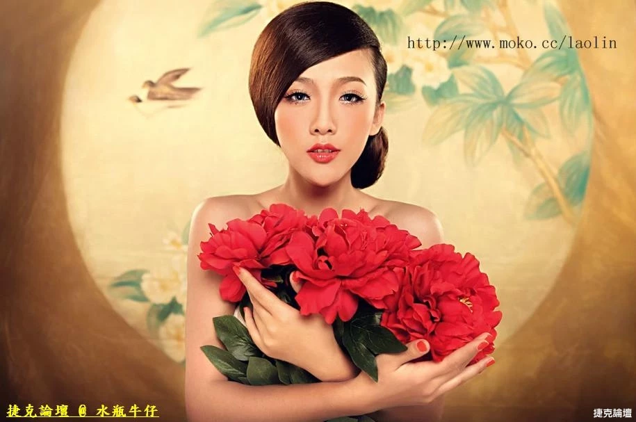 17542245.webp