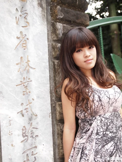 17269008.webp