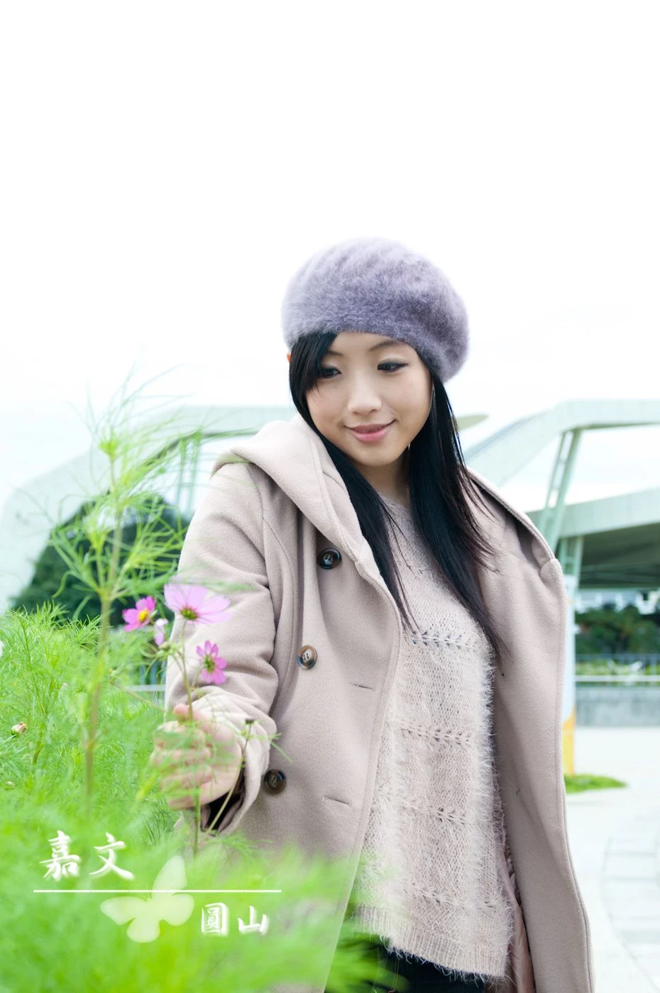 30714823.webp