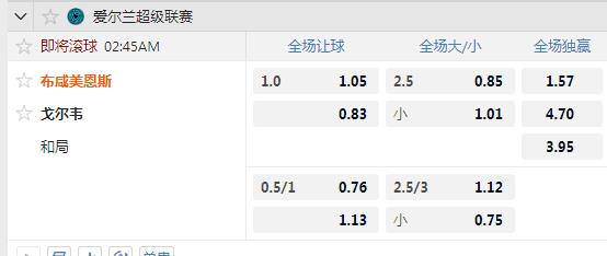 戈尔韦.jpg