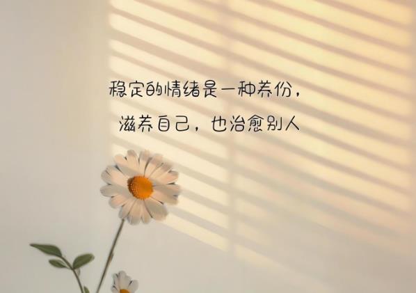 360截图20250712141655985.jpg