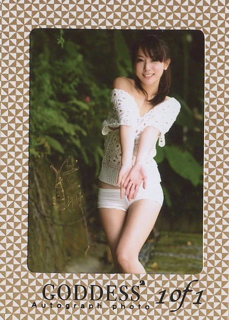 17739198.webp
